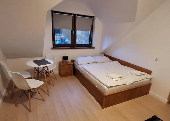 Guest house Senya 3*